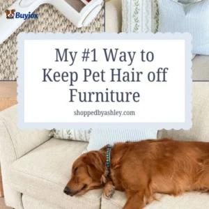 Dog sleeping on beige couch with “keep pet hair off furniture” graphic, focused on prevention tips