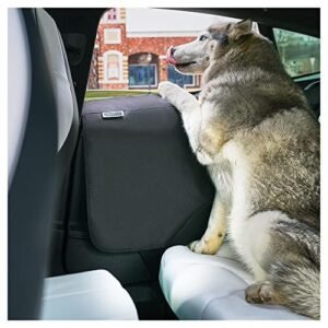 Dog door cover on car back seat protecting door from scratches while dog looks outside