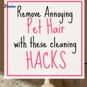 Remove annoying pet hair from carpets and rugs using simple cleaning hacks