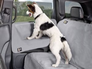 Waterproof dog seat cover with door protectors keeping car interior clean during travel