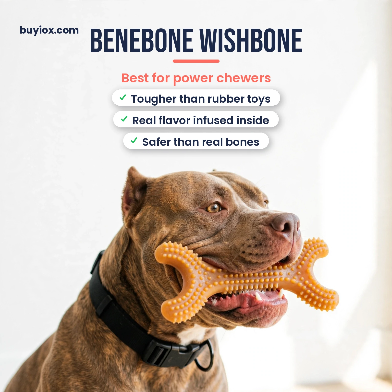 Benebone wishbone flavored dog chew