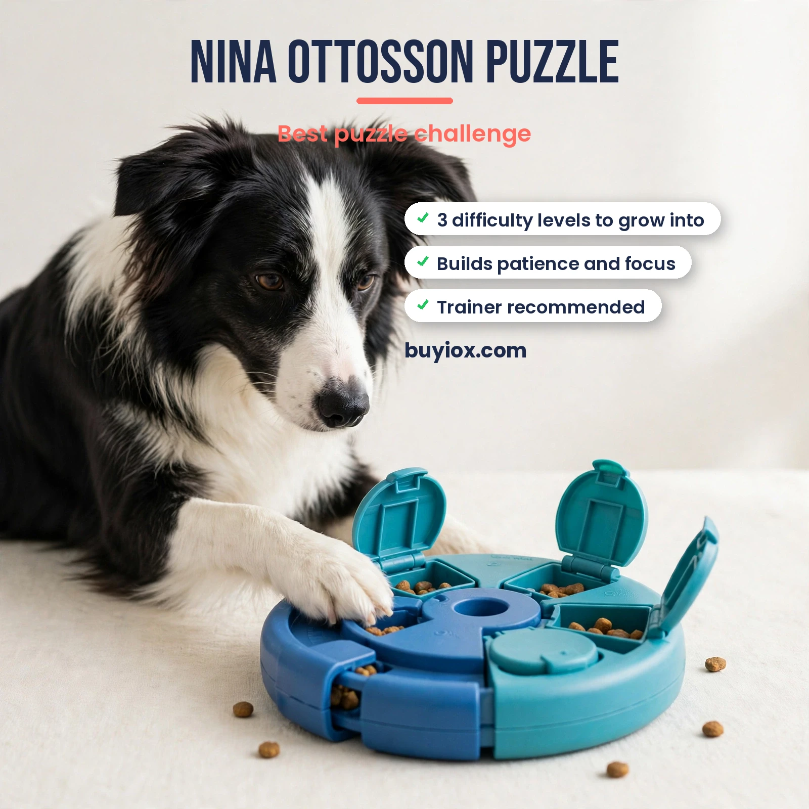 Nina Ottosson dog puzzle toy with sliding compartments