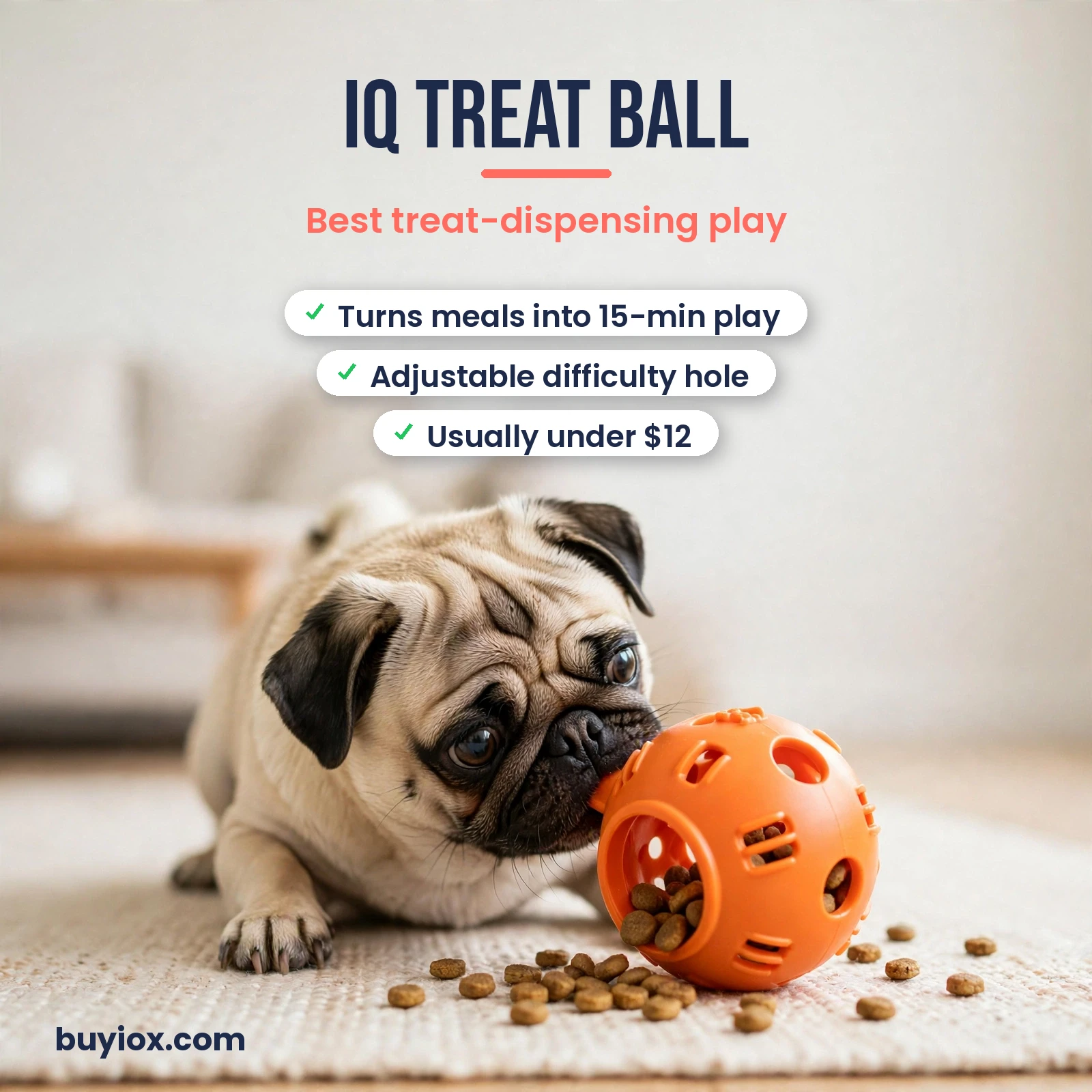 IQ treat dispensing ball dog toy