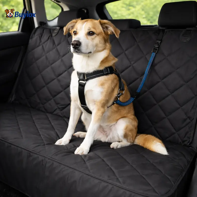 Dog slipping on a car seat before installing a non-slip seat cover.