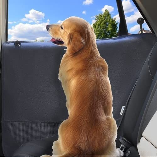 Golden retriever sitting on car seat with door protector cover to prevent scratches and hair