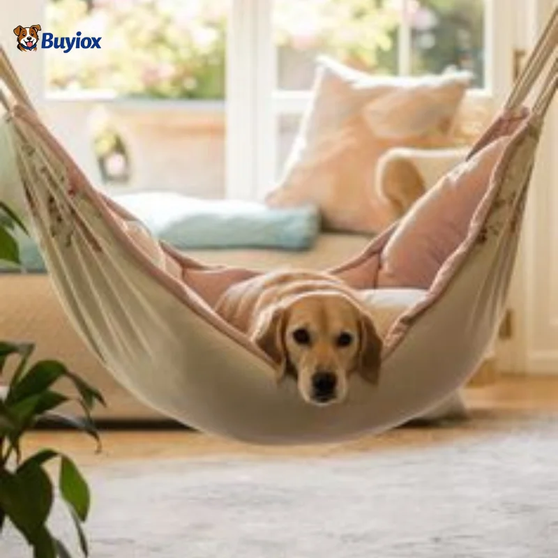 Indoor dog hammock bed providing cozy and elevated resting space
