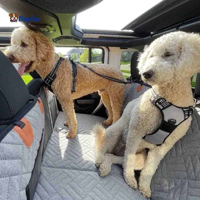 Waterproof dog hammock seat cover installed in an SUV back seat with a dog sitting calmly.