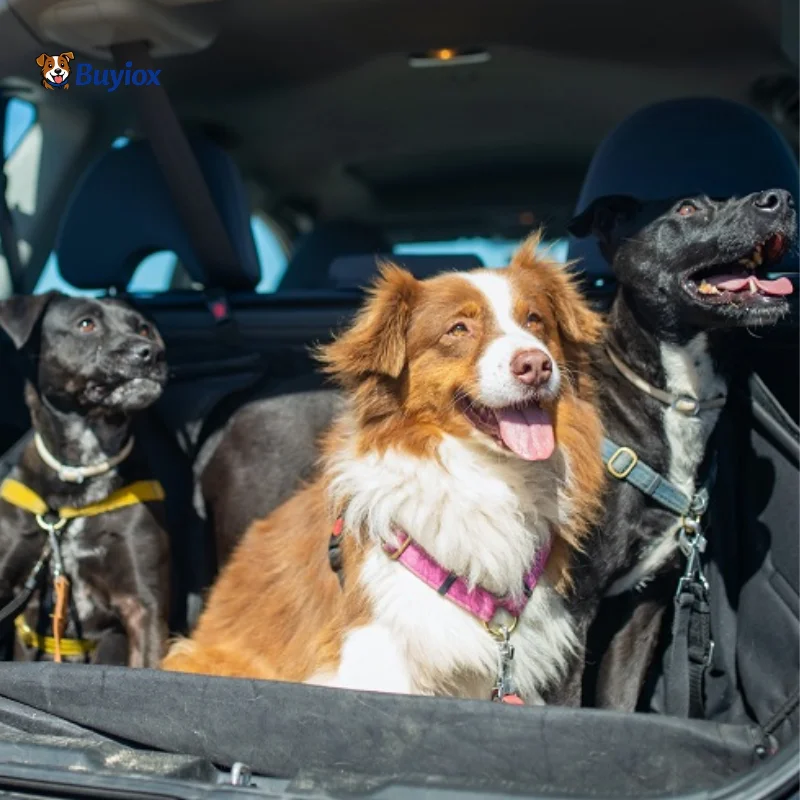 Rubber pet hair remover tool and vacuum crevice attachment next to a car seat with dog hair.