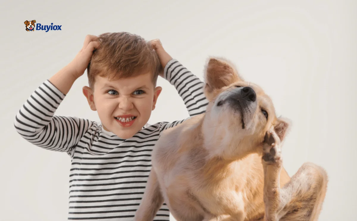 Dog being checked closely by its owner while a lice comb and clean bedding sit nearby