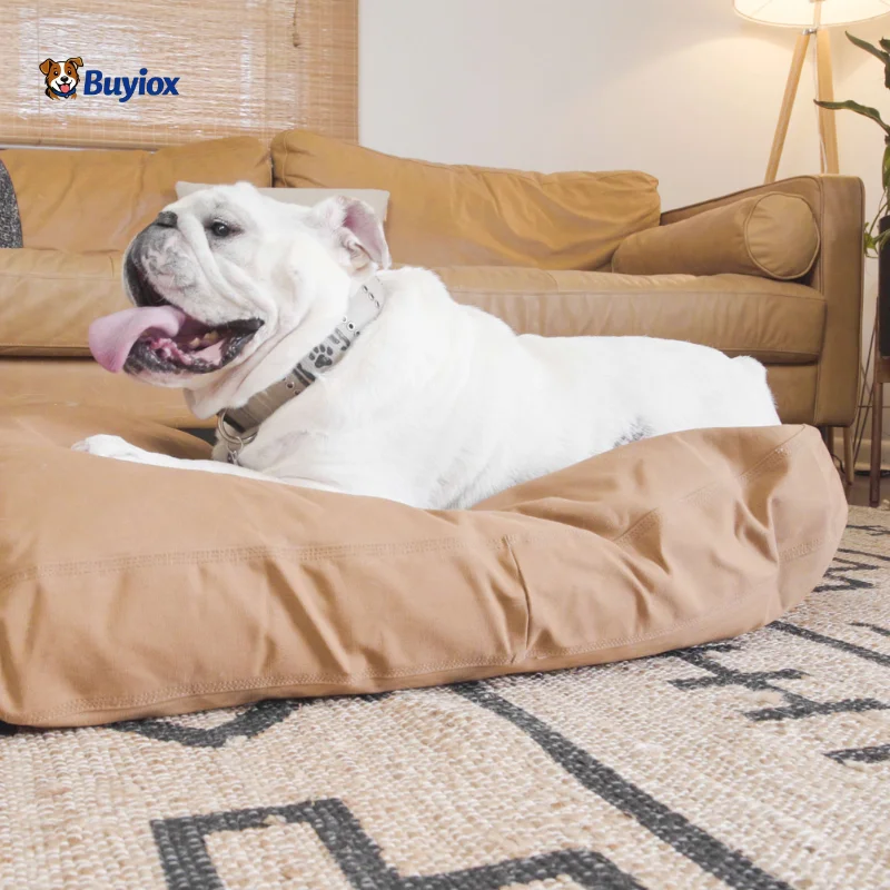 Person cleaning a couch cushion while a dog rests nearby in a fresh, bright living room.