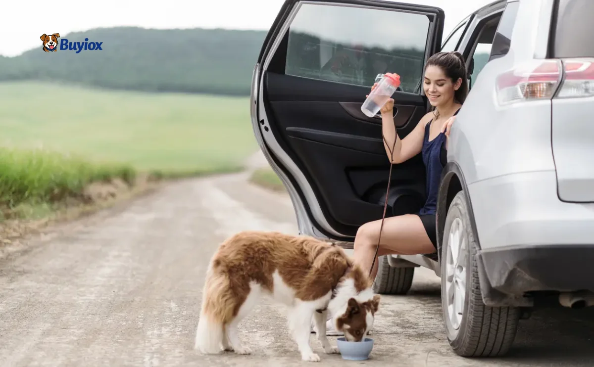 Dog sitting near a water bowl while its owner checks for signs of dehydration
