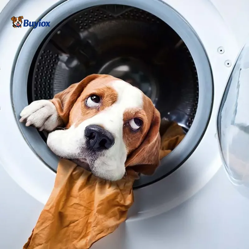 Person wiping dog hair from a front-load washing machine rubber seal with a microfiber cloth.