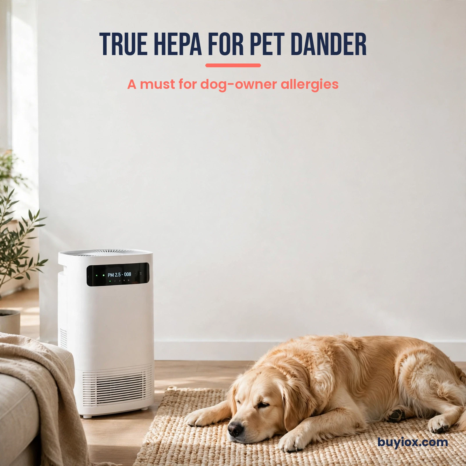 Air purifier in a living room with a dog