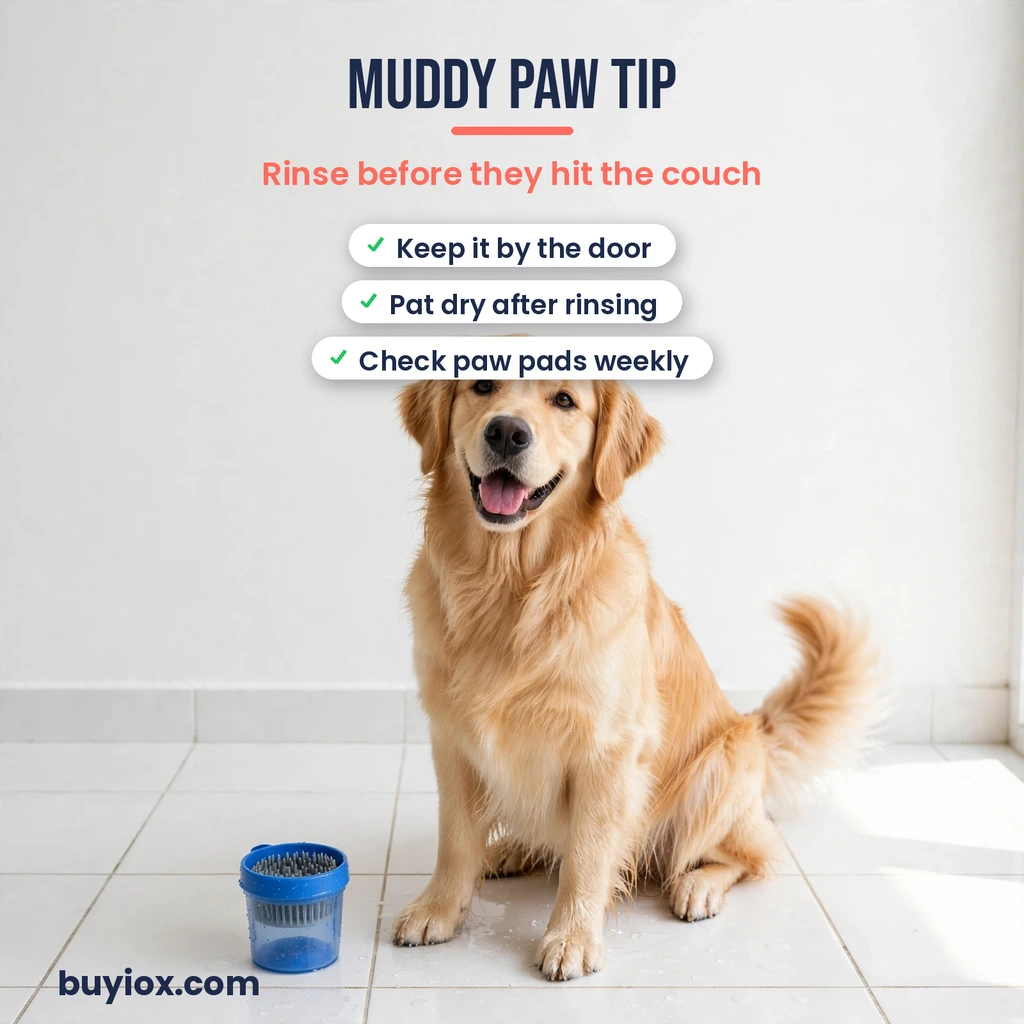 Muddy paw cleanup tip