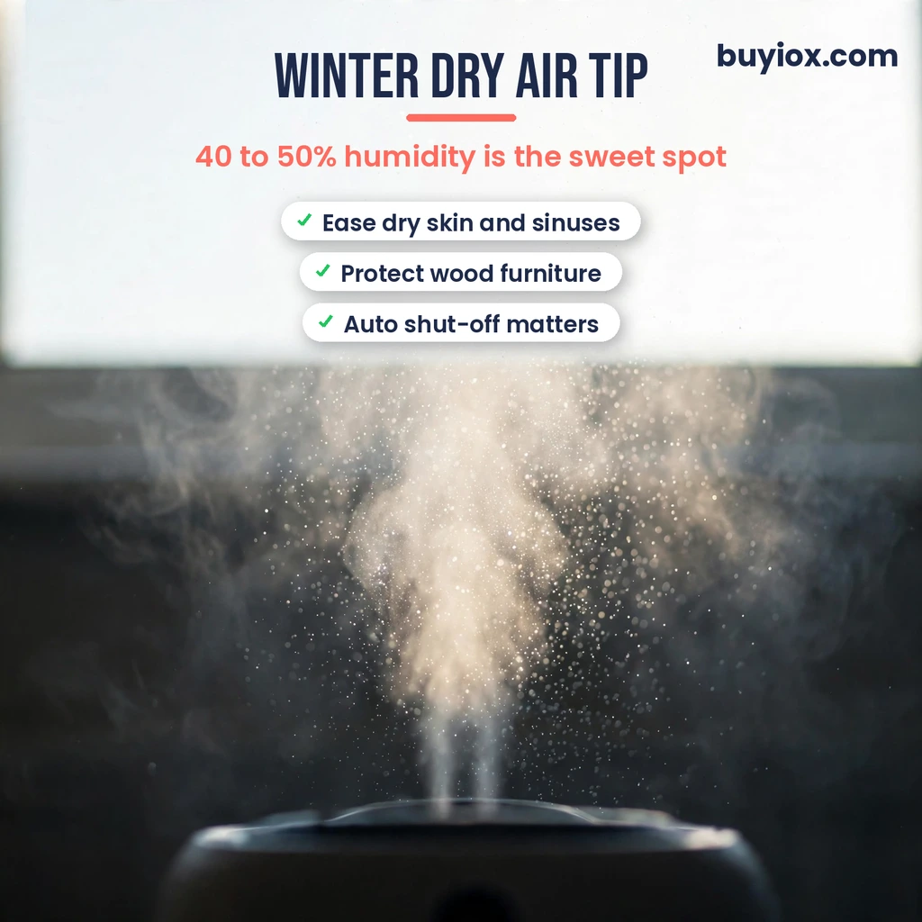 Winter dry air humidity tip