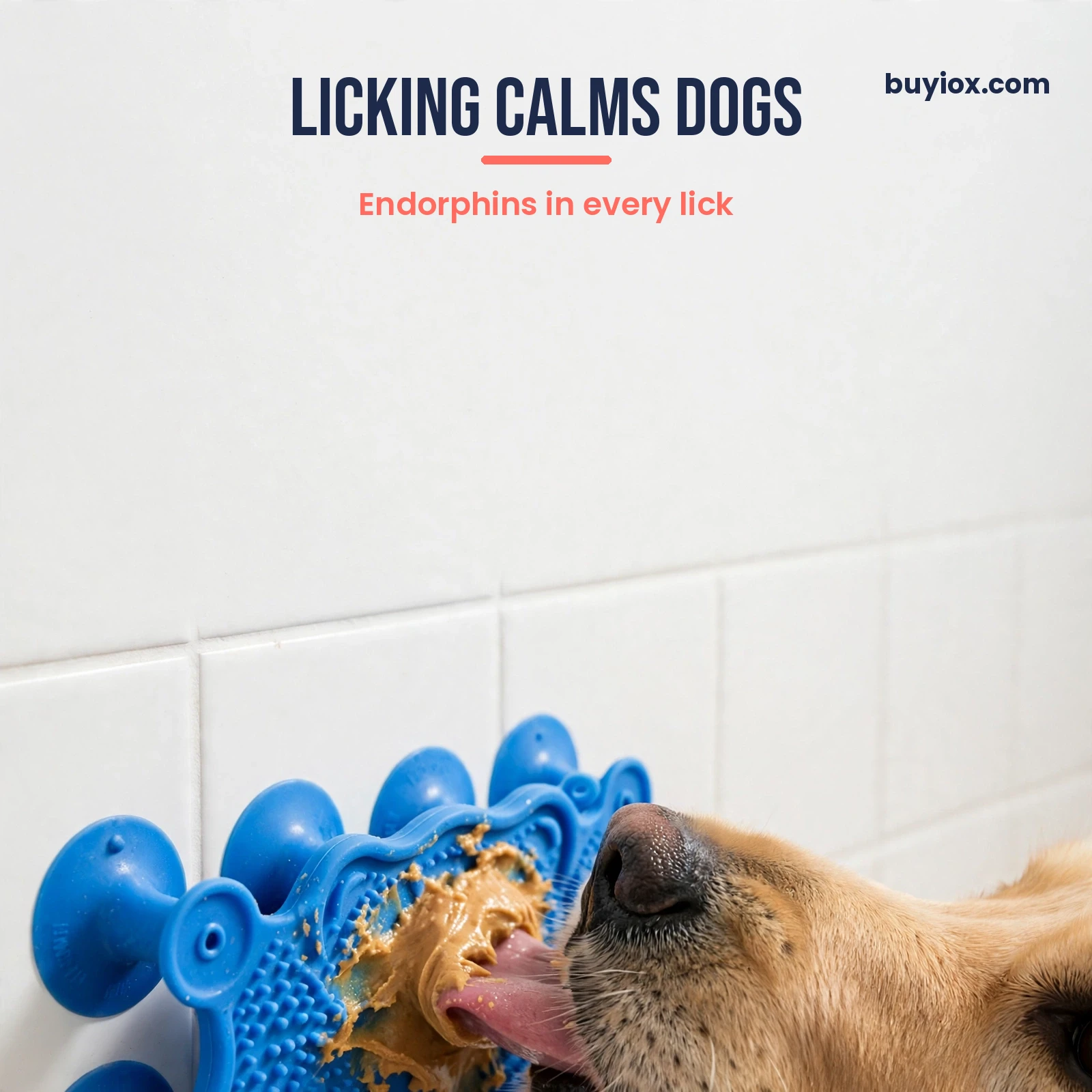 Dog licking peanut butter off a lick mat Dog licking peanut butter from a lick mat