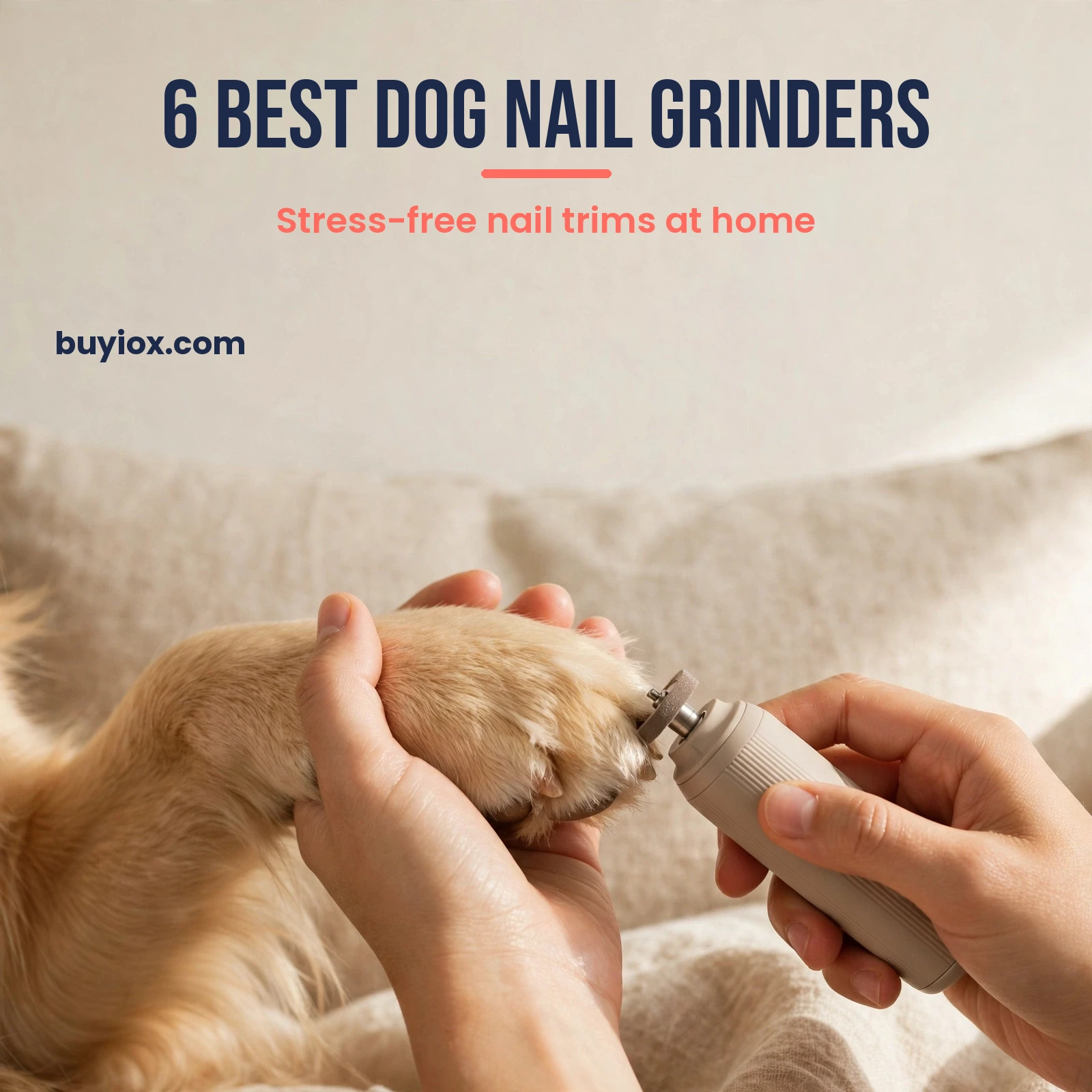 6 best dog nail grinders for stress-free trims