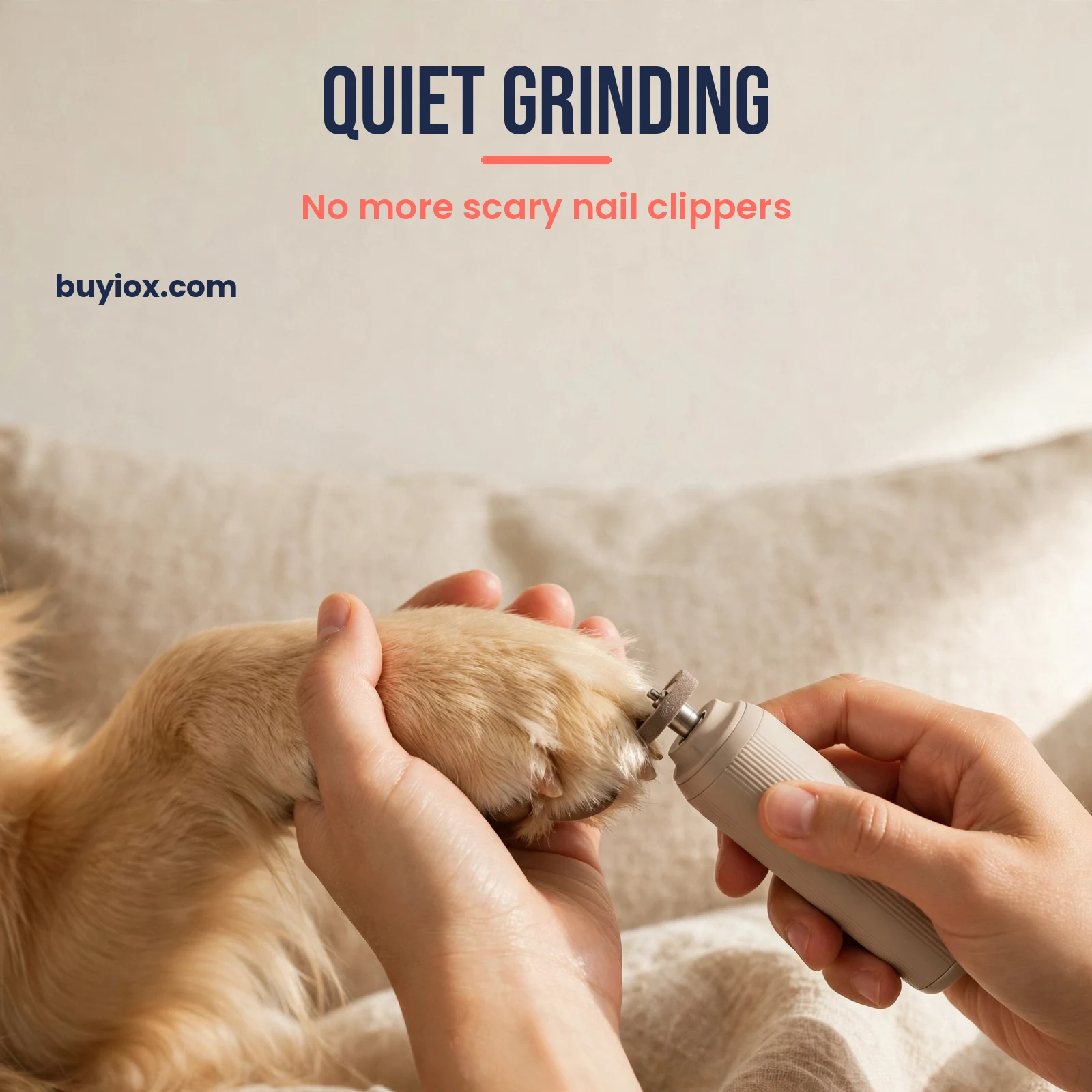 Quiet dog nail grinder trimming a dog's nails