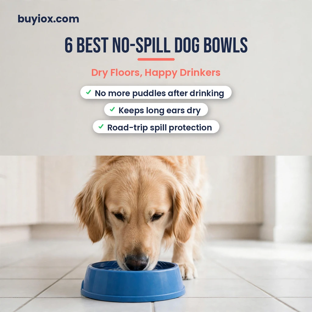 6 best no spill dog water bowls