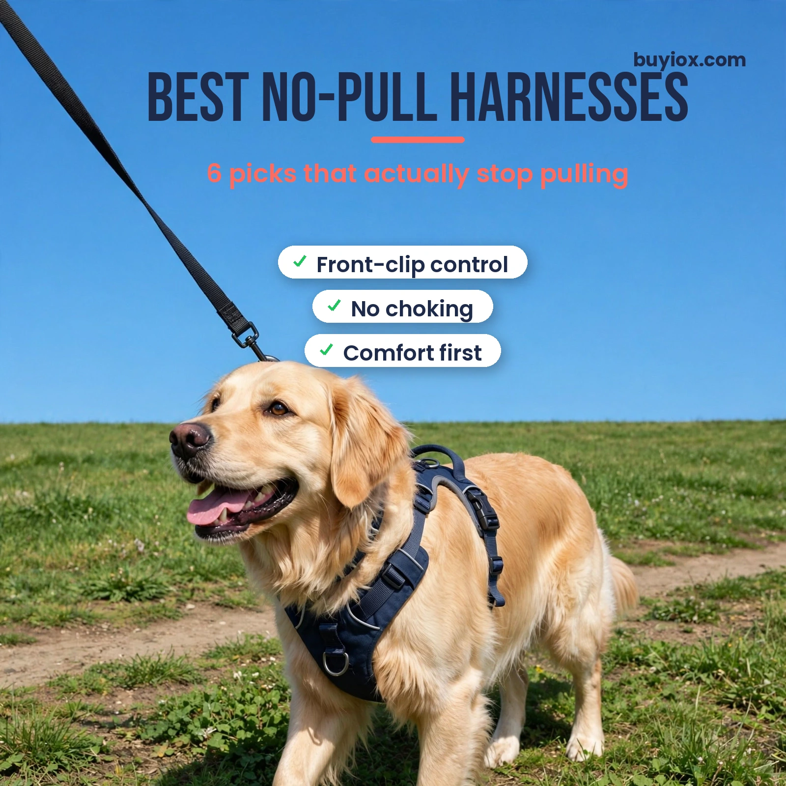 Best no-pull dog harnesses - six researched front-clip harness picks for dogs that pull