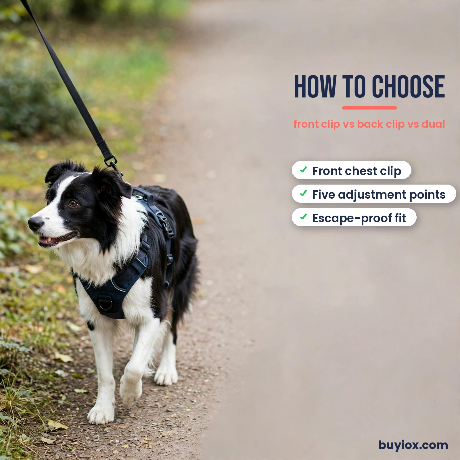 How to choose a no-pull dog harness - front clip vs back clip vs dual clip