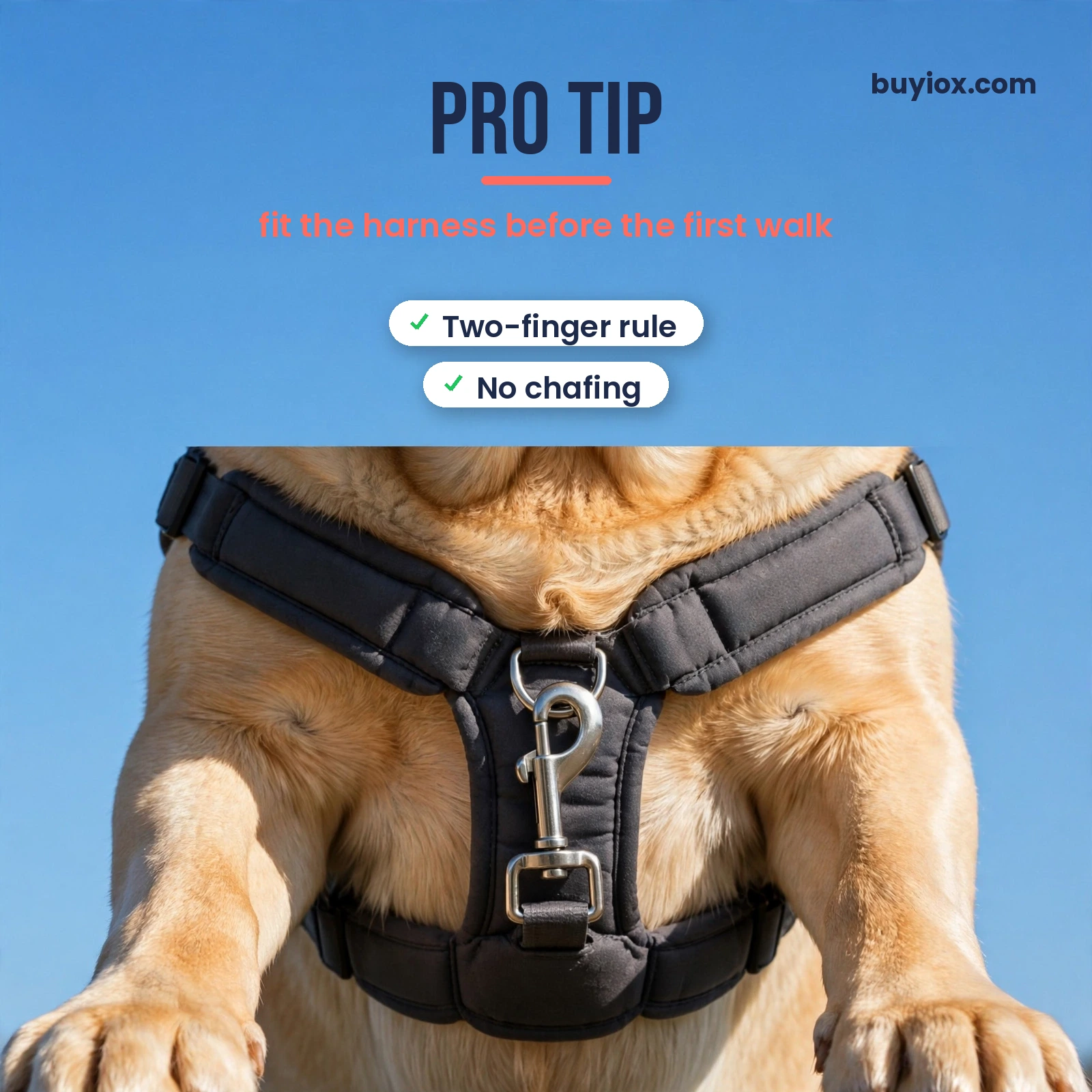 Pro tip for no-pull dog harnesses - check the fit with the two-finger rule