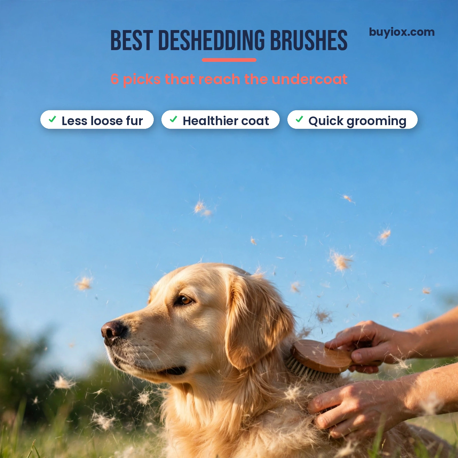 Best deshedding brushes for dogs - six researched undercoat deshedding tools
