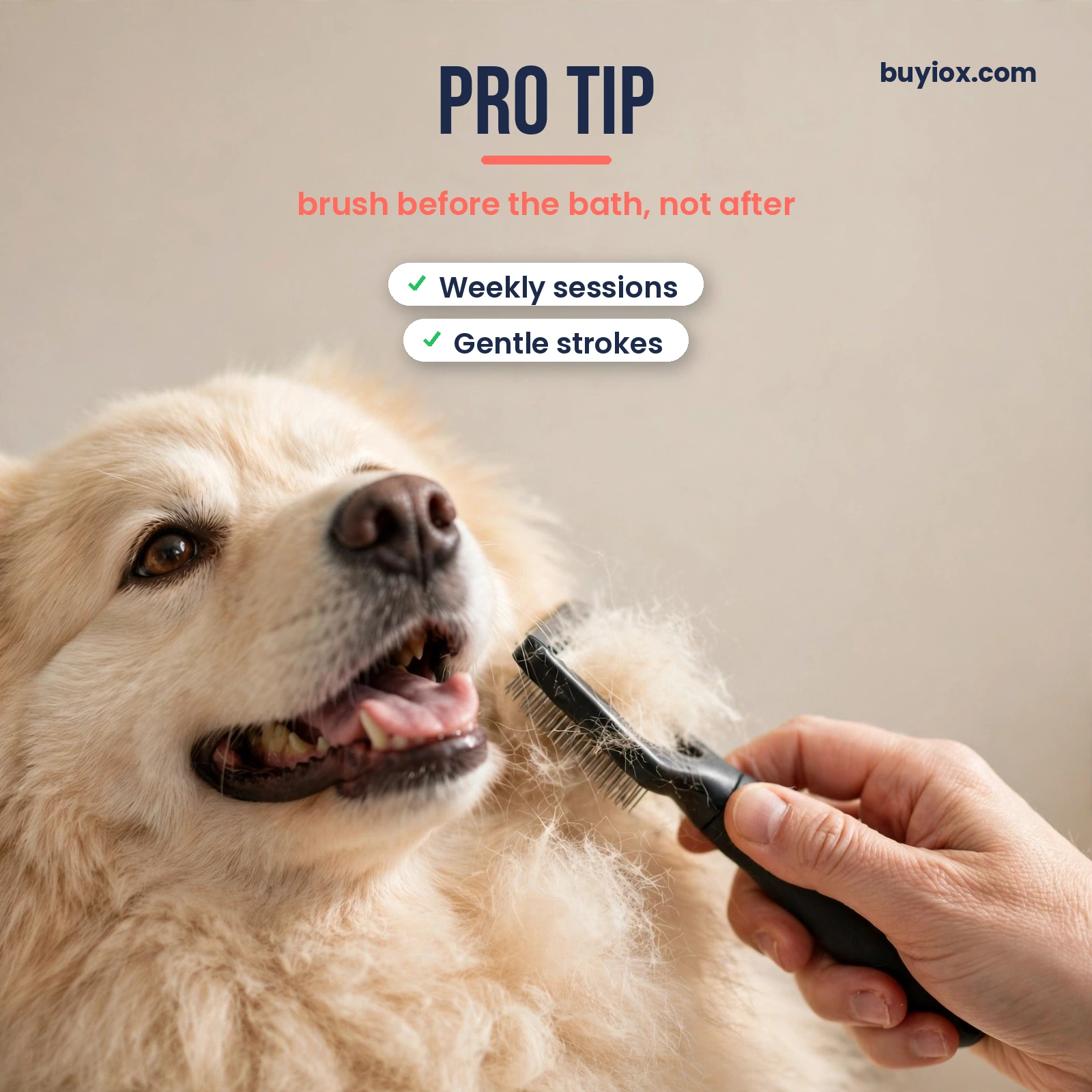 Pro tip for deshedding - always brush in the direction of hair growth on a dry coat