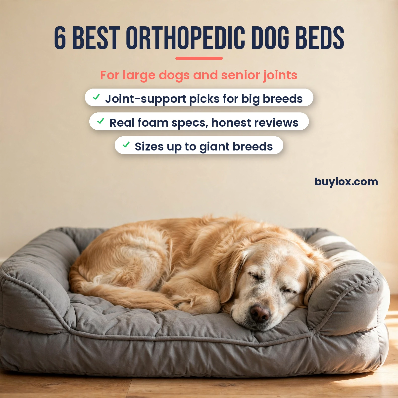 Best orthopedic dog beds for large dogs - six researched memory foam beds for joint support