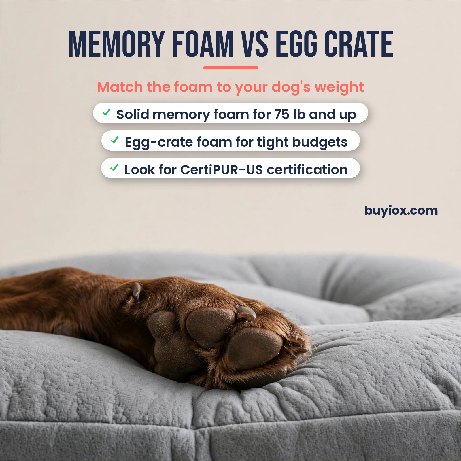 Orthopedic dog bed buying guide - memory foam vs egg crate foam for large dogs