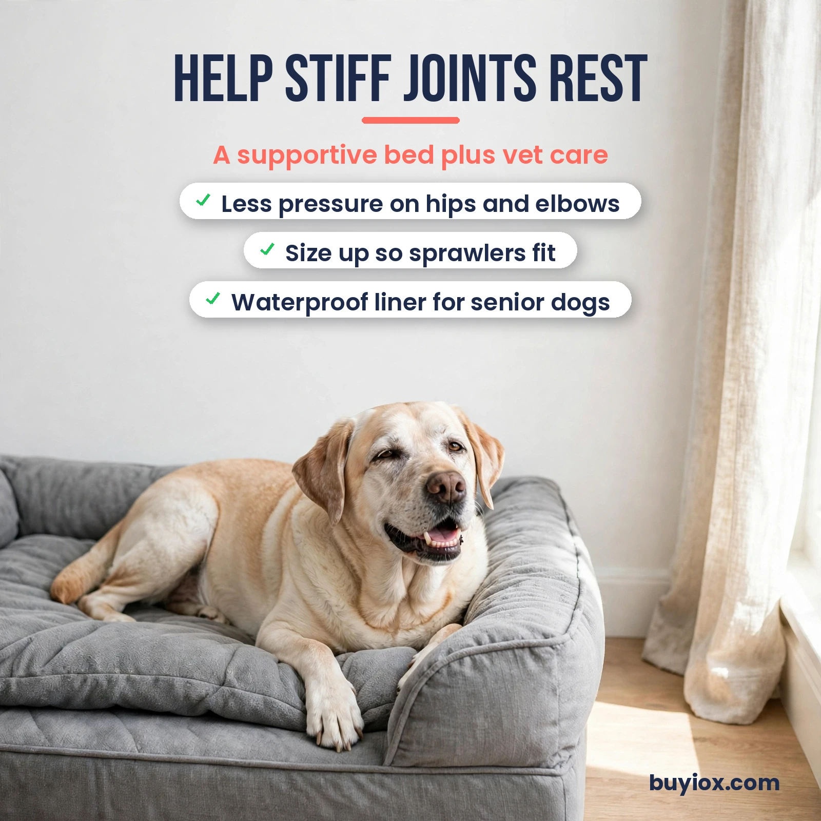 Senior dog joint care tip - pair an orthopedic bed with vet-guided exercise and weight management