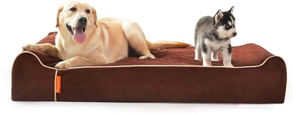 Laifug orthopedic memory foam dog bed in chaise style with raised front edge and waterproof liner