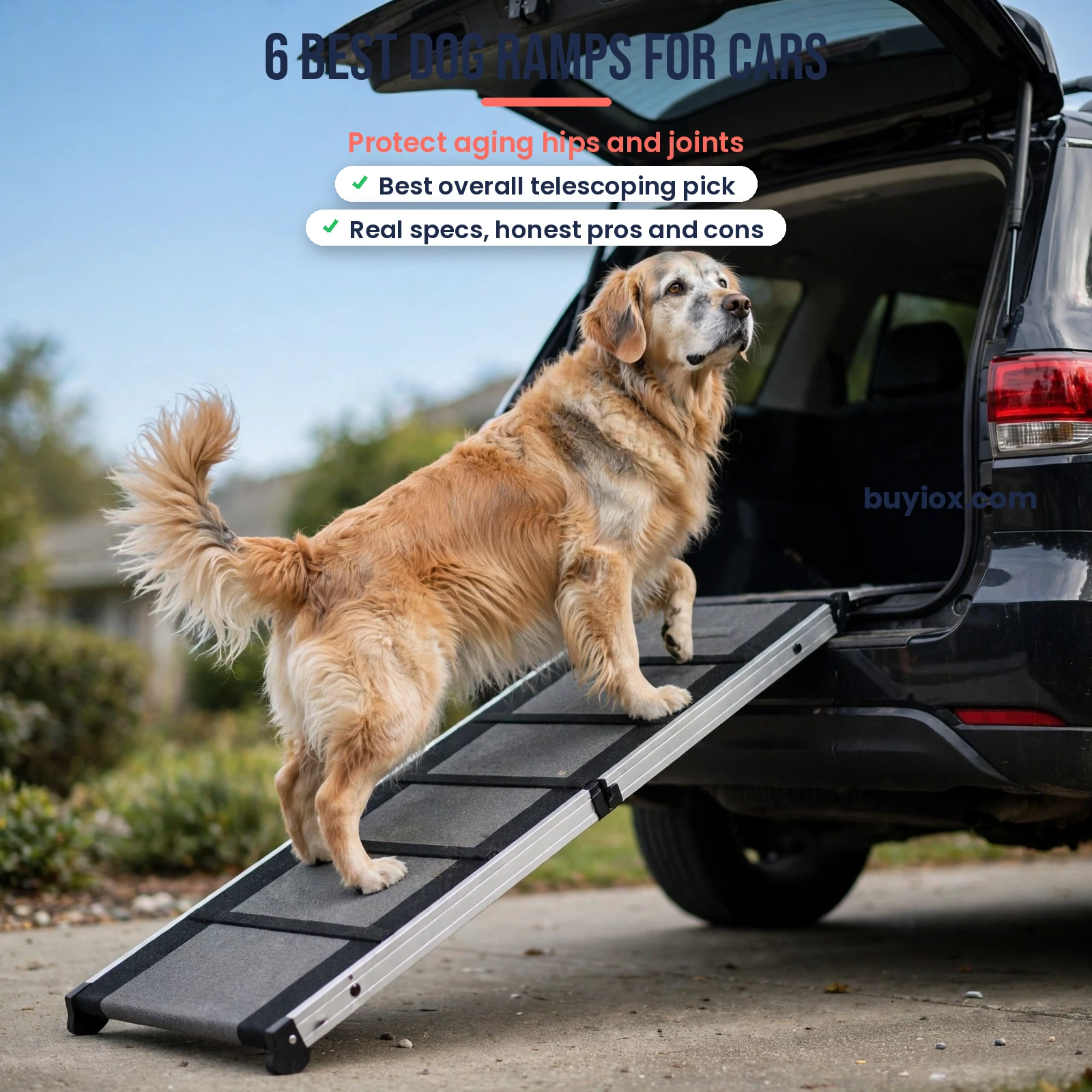 Best dog ramps for cars - six researched ramps that protect senior dog joints