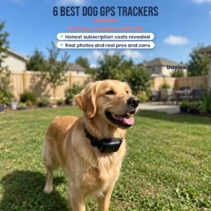 6 Best Dog GPS Trackers That Actually Find Your Dog