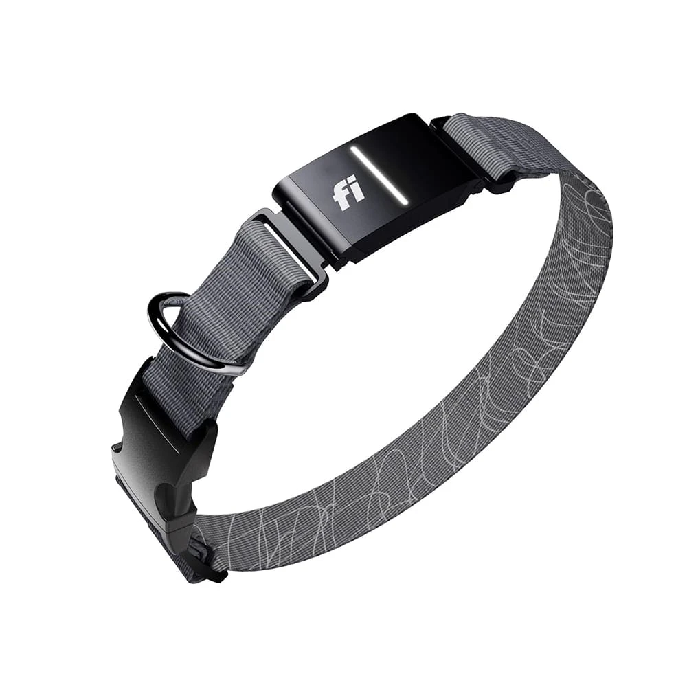 Fi Series 3+ smart dog collar with integrated GPS module