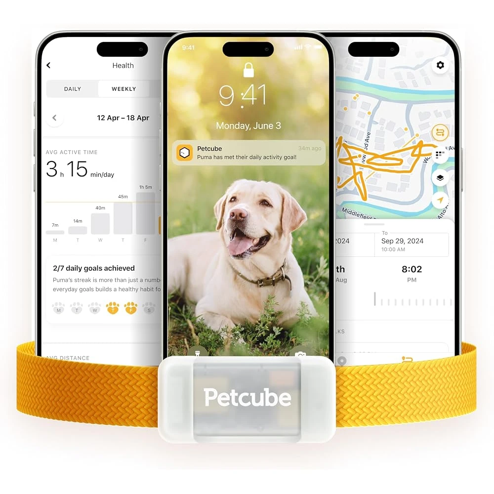 Petcube GPS Tracker for dogs with activity monitoring app