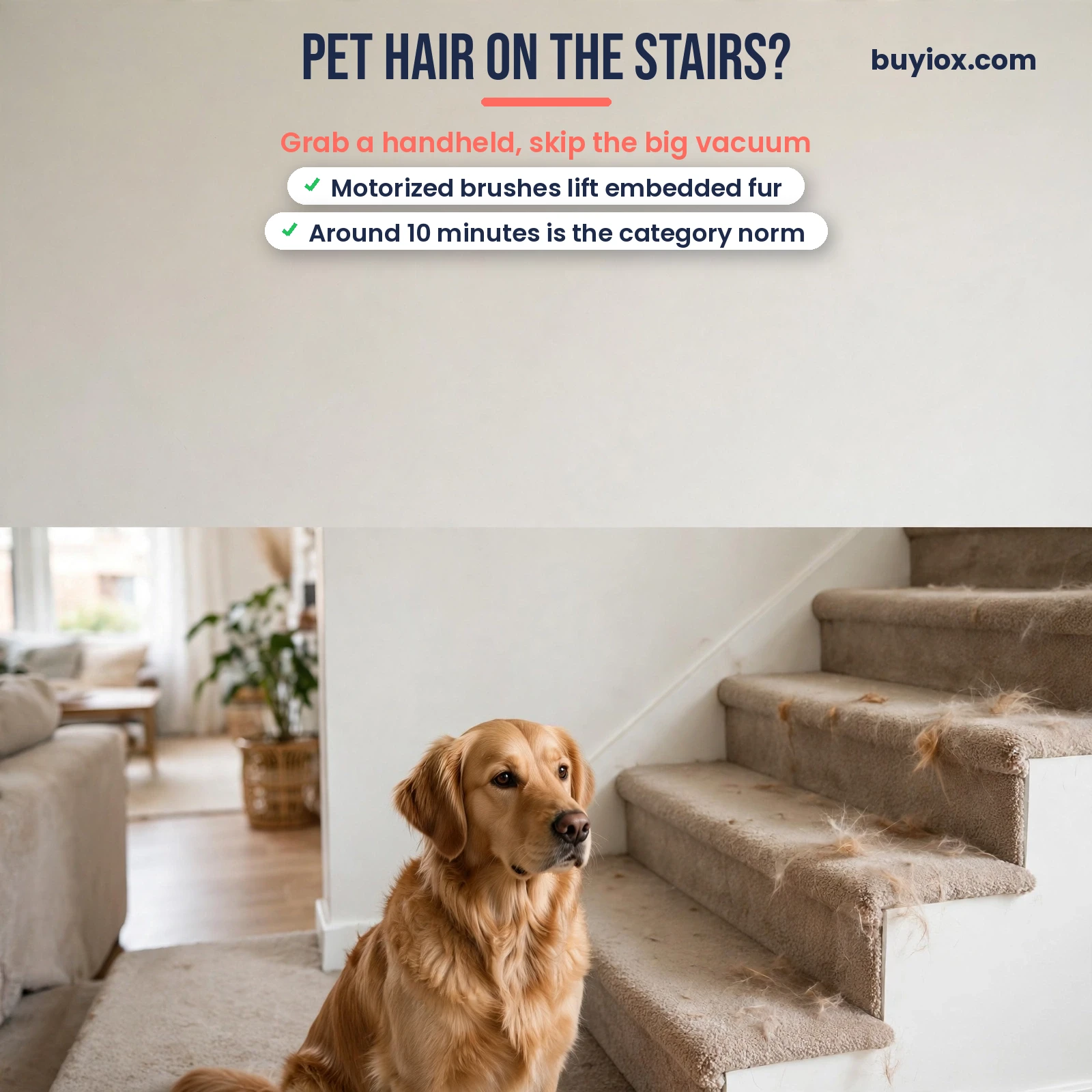 Handheld vacuum cleaning pet hair from carpeted stairs