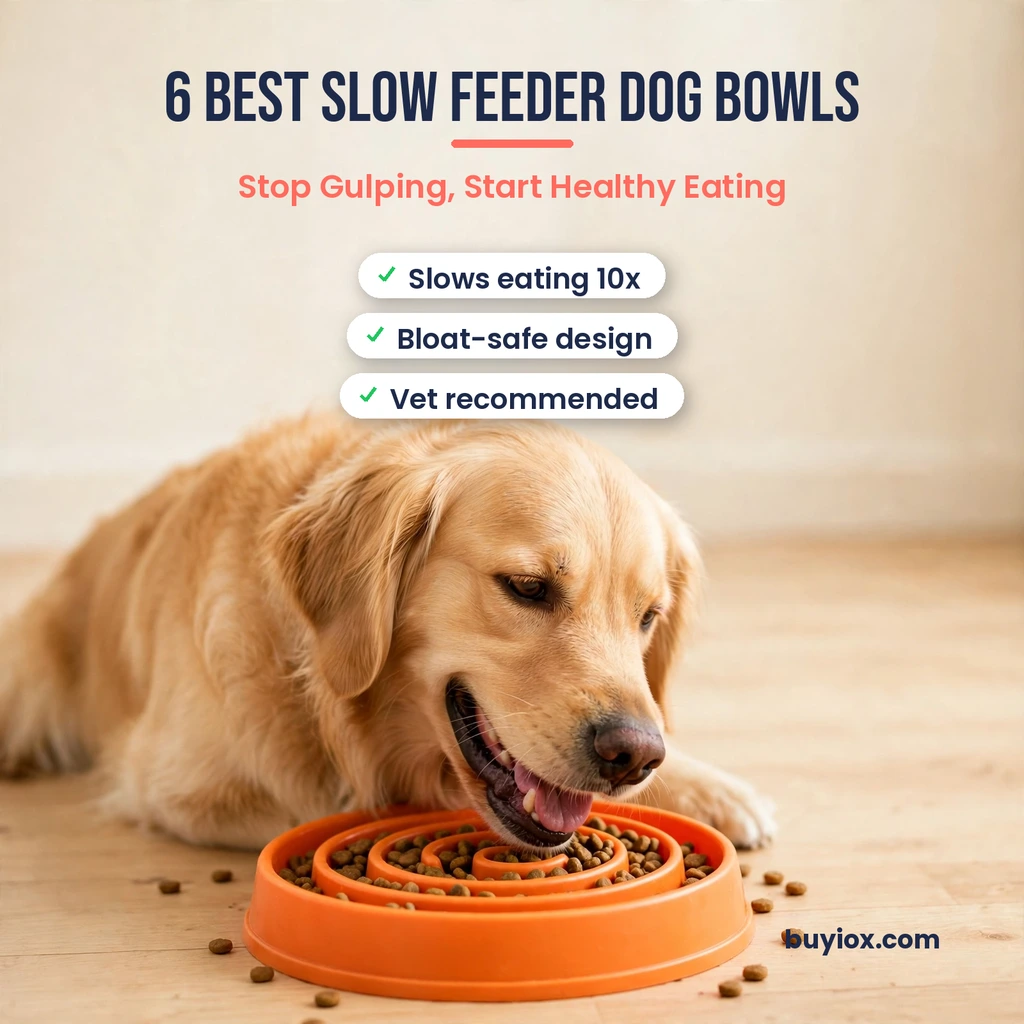 6 best slow feeder dog bowls for fast eaters