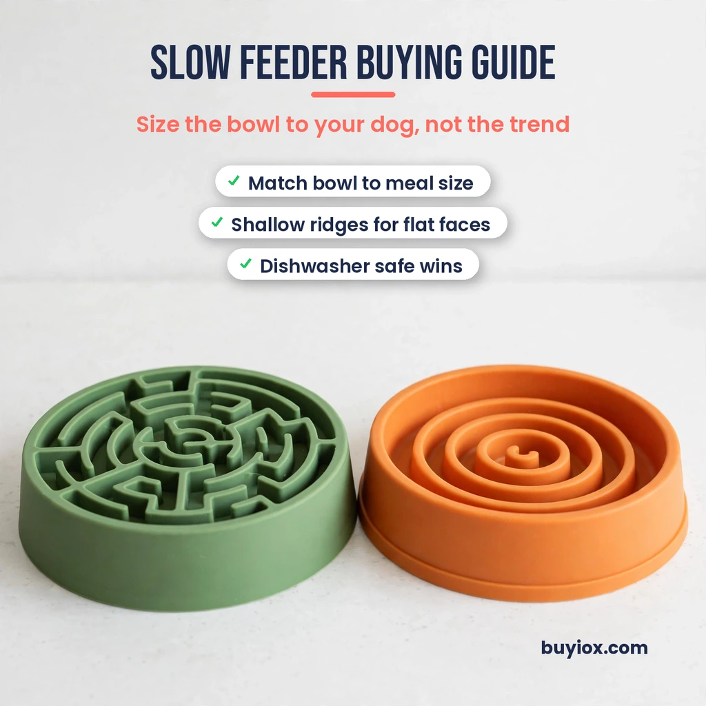 Slow feeder dog bowl buying guide comparison