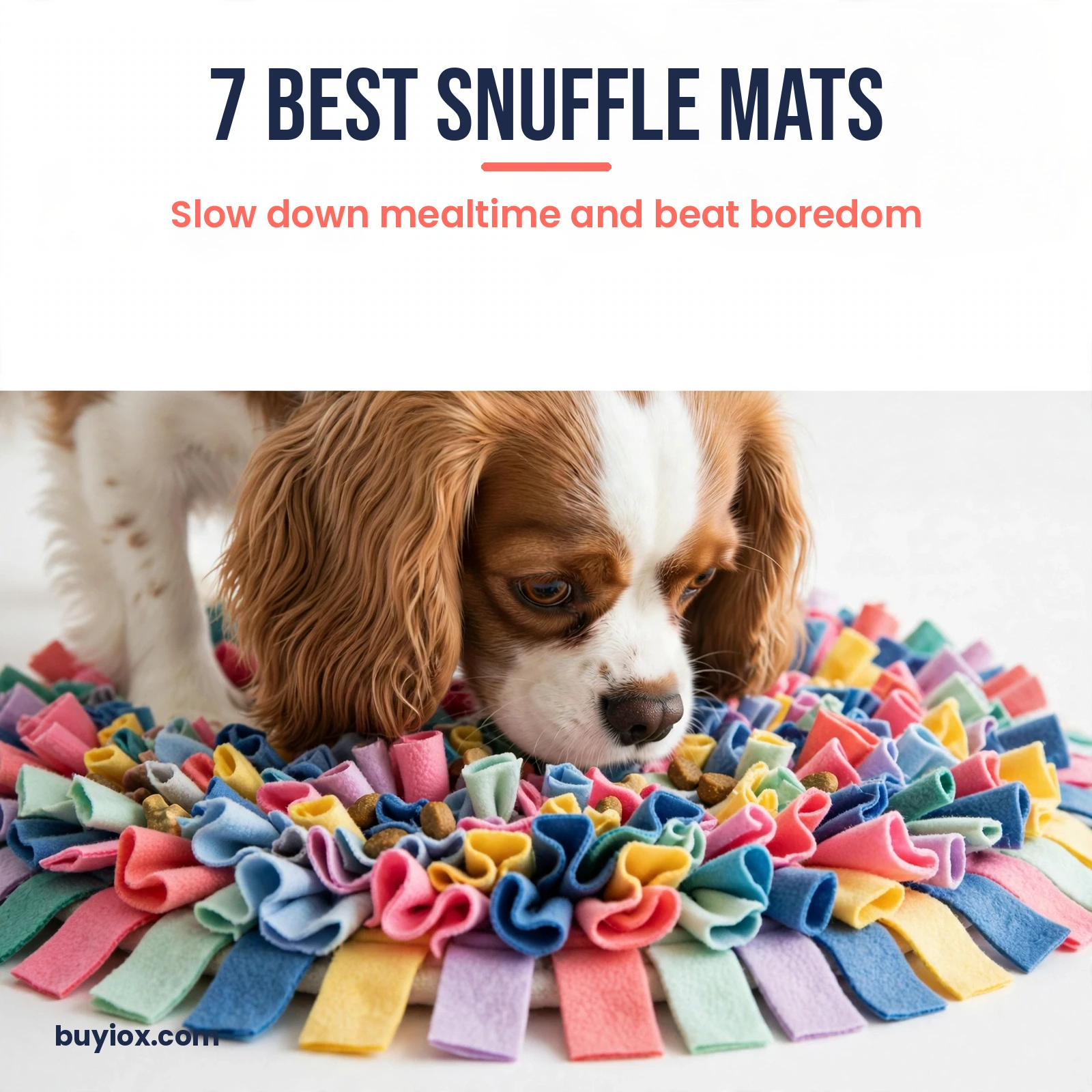 Best snuffle mats for dogs – featured image